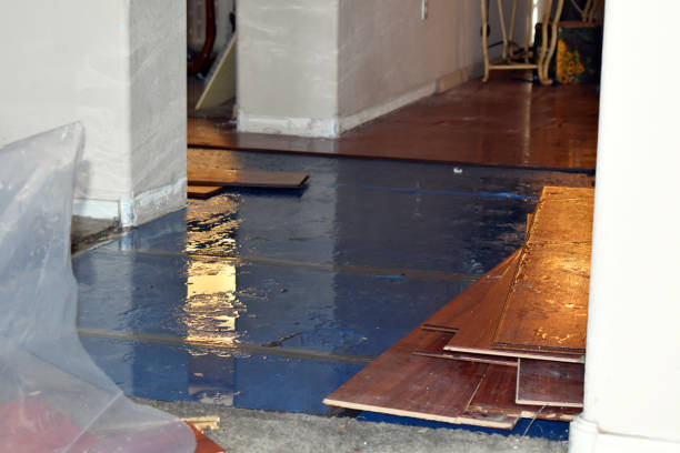 Professional Flood Cleanup technician working in Adkins, TX